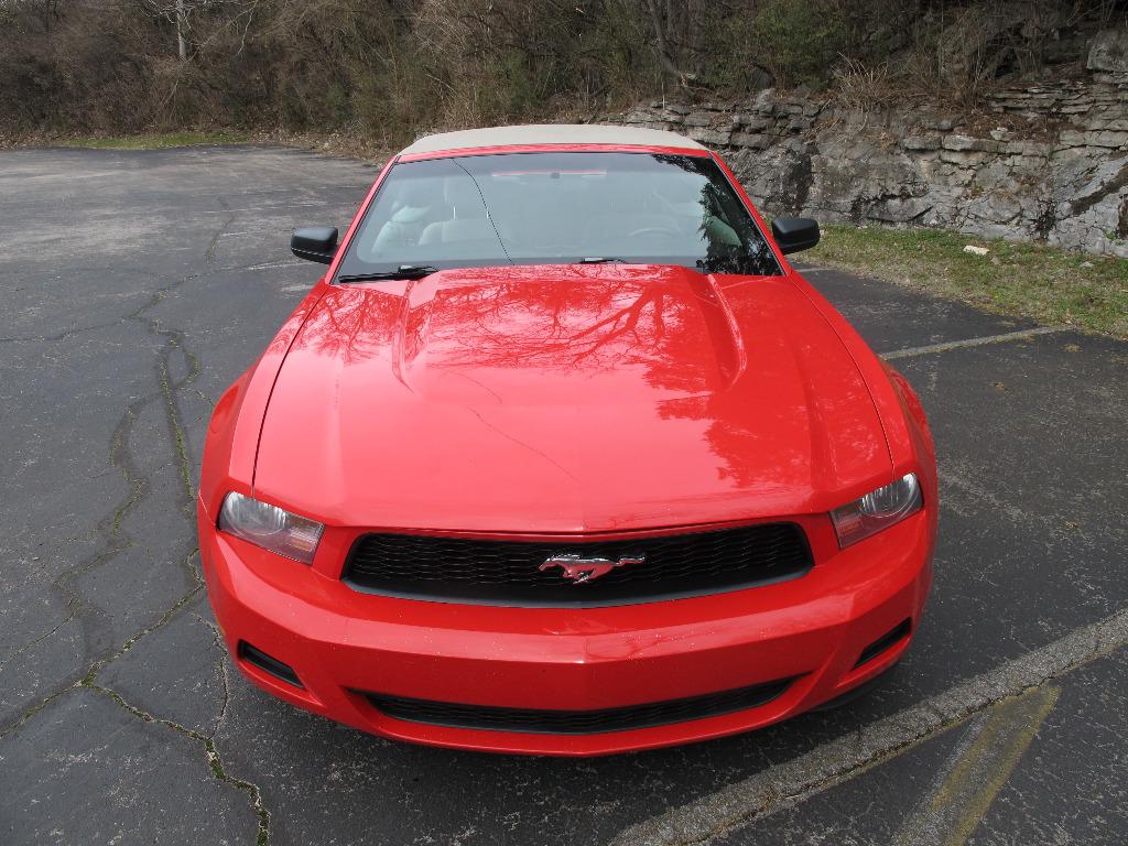 2010 Ford Mustang's photo